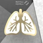 بج سینه شماره 8