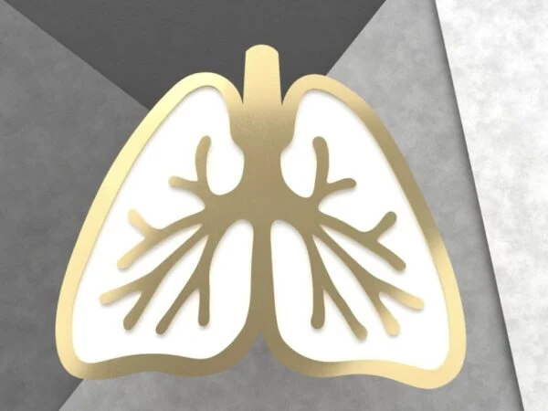 بج سینه شماره 8