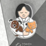 بج سینه شماره 20