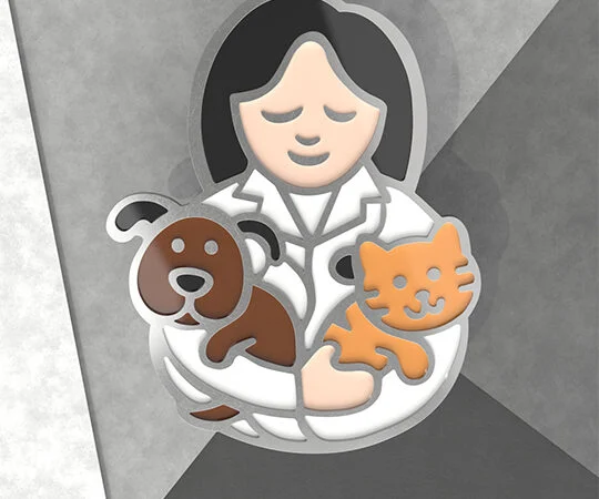 بج سینه شماره 20