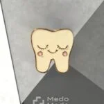 بج سینه شماره 29