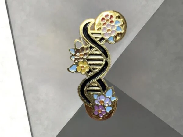 بج شماره ۳۳